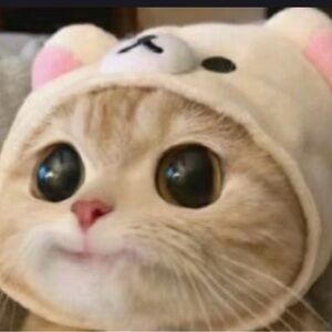 Meet your Posher, Arico88